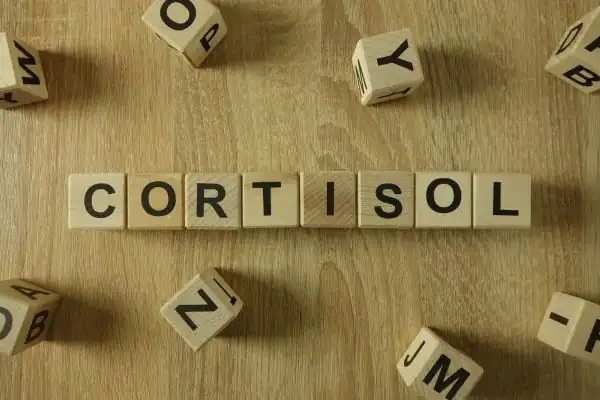 The Hidden Connection: How Stress Shapes Your Fitness and Body Composition 2 Image saying "Cortisol" and how stress Daventry impacts your wellbeing and bodies shape